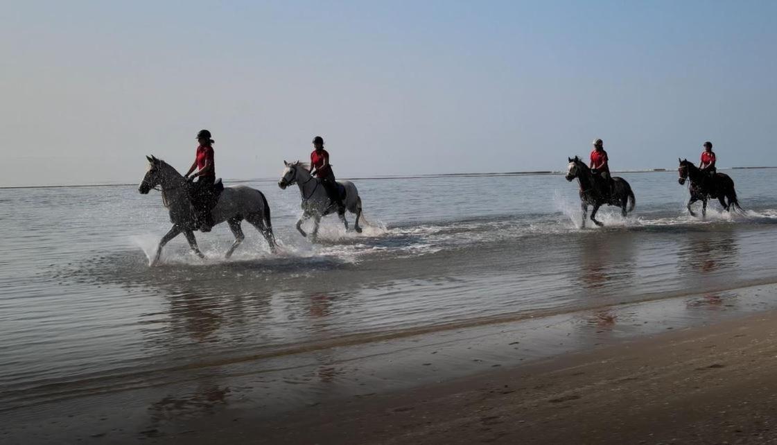 הוילה קאורלה Brussa Horse Oasi מראה חיצוני תמונה