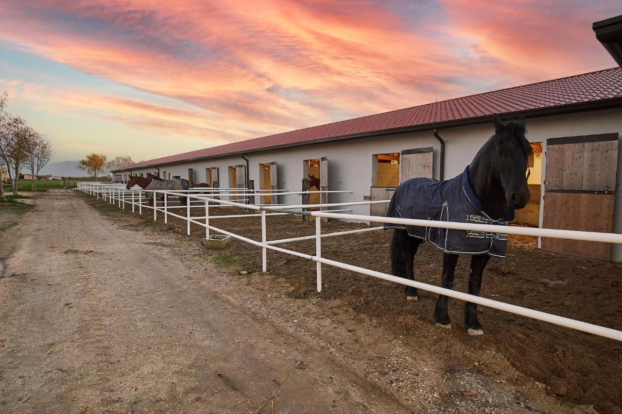 הוילה קאורלה Brussa Horse Oasi מראה חיצוני תמונה