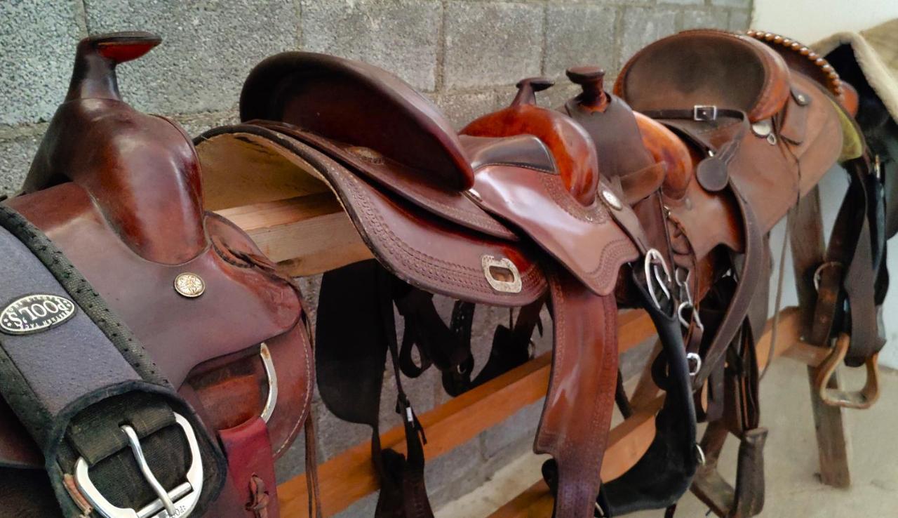 הוילה קאורלה Brussa Horse Oasi מראה חיצוני תמונה